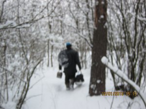 27 024.jpg