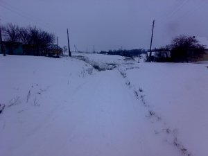 03012008014.jpg