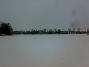 03012008017.jpg