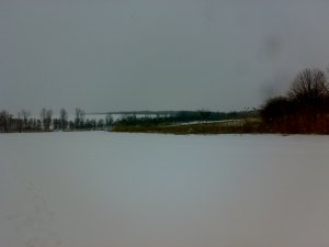 03012008018.jpg