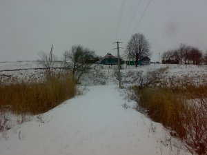 03012008021.jpg