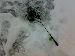 03012008024.jpg
