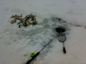 03012008027.jpg