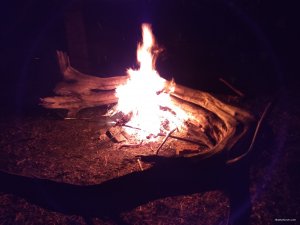 IMG_20190911_004429247.jpg