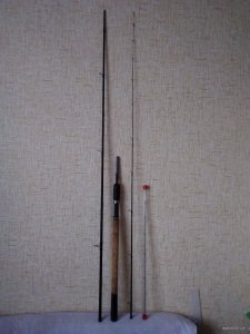 IMG_20190913_101853.jpg