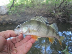 IMG_1039.JPG