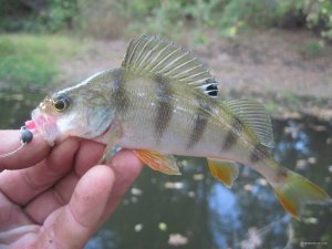 IMG_1044.JPG