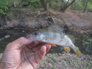 IMG_1048.JPG