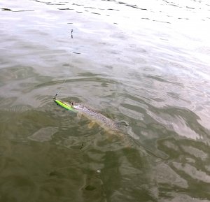 20190915_115815.jpg