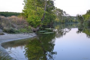 DSC_0266.JPG