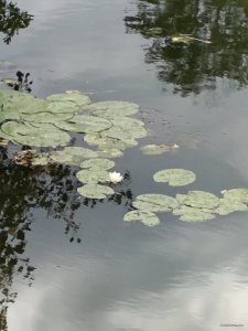IMG_20190918_114424[2].jpg