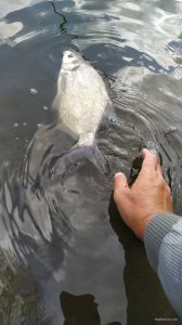 IMG_20190919_120616.jpg