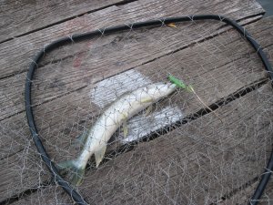 IMG_1052.JPG