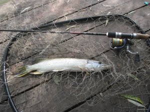 IMG_1057.JPG