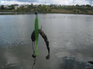 IMG_1070.JPG