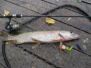 IMG_1082.JPG