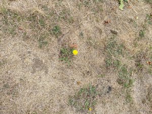 IMG_20190919_114034_resized.jpg