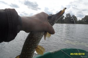 SAM_0980.JPG