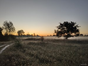 IMG_20190920_062901.jpg