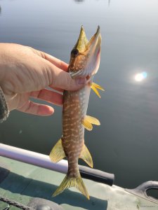 IMG_20190920_091248.jpg