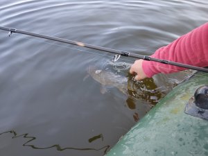 IMG_20190920_085903.jpg