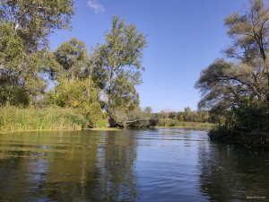 IMG_20190920_102435.jpg