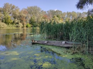 IMG_20190920_102707.jpg