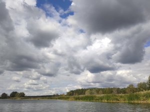 IMG_20190920_110622.jpg