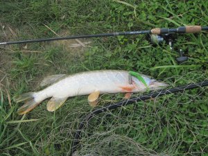 IMG_1086.JPG