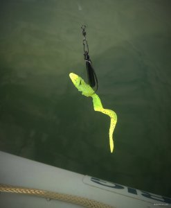 IMG_20190916_094237.jpg
