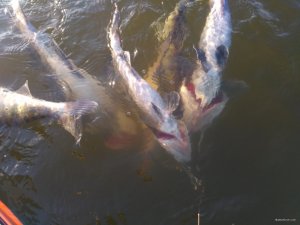 IMG_20190922_140323.jpg
