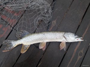 20190922_080820.jpg