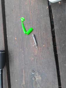 20190922_081241.jpg