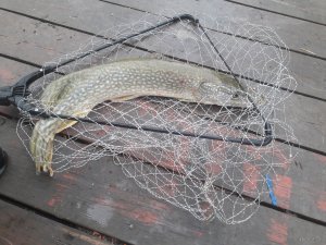 20190922_083902.jpg