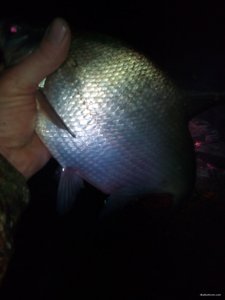 IMG_20190925_040924.jpg