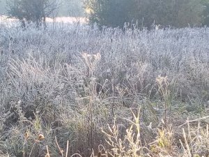 IMG_20190925_075400.jpg