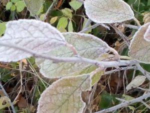 IMG_20190925_080942.jpg