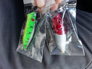 IMG_20190916_122945.jpg