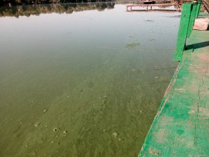 IMG_20190714_083911.jpg