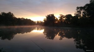IMG_20190926_064325.jpg