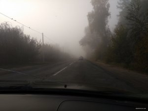 IMG_20190925_072854.jpg