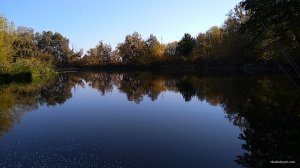 IMG_20190925_090916.jpg