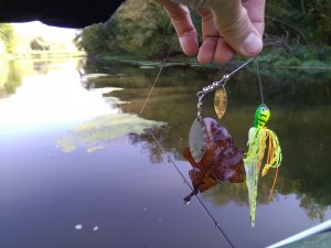 IMG_20190925_103319.jpg