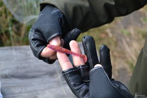 DSC_0487.JPG