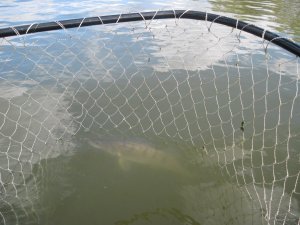 IMG_1094.JPG