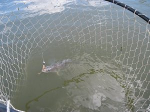 IMG_1096.JPG