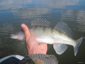 IMG_1097.JPG