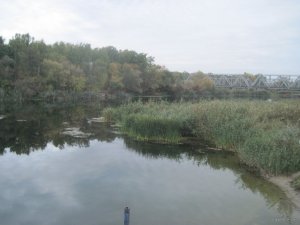 IMG_1102.JPG