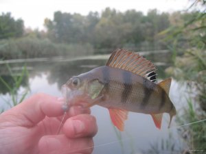 IMG_1104.JPG