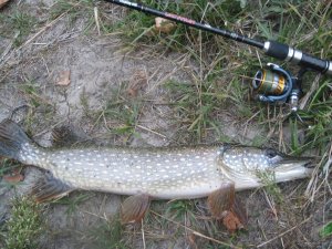 IMG_1106.JPG